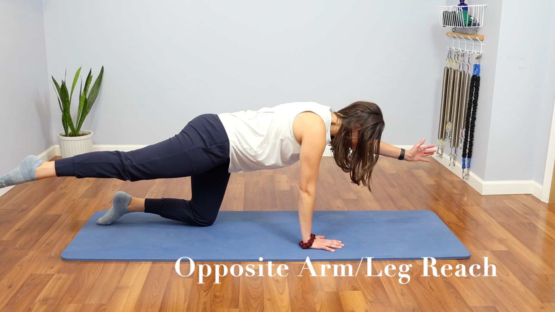 Opposite Arm/Leg Reach