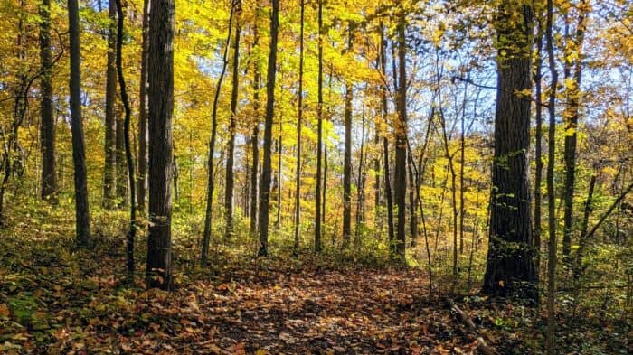 Balanced Body Teacher Trainings Fort Wayne Rivergreenway Trails